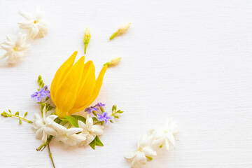 Naklejka premium yellow flowers ylang ylang ,white flower jasmine and purple flowers local flora of asia arrangement flat lay postcard style on background white wooden