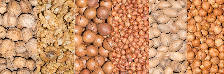 Collage of peeled and in shell nuts, for background.