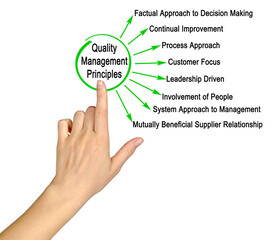 Eight Principles of Quality Management