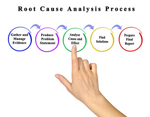 Process of Root Cause Analysis