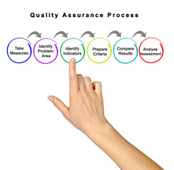 Components of Quality Assurance Process