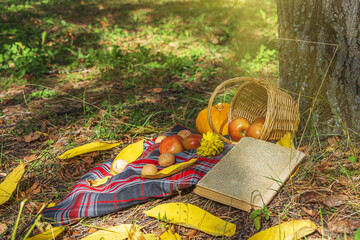 Autumn still life with checkered plaid, wicker basket, apples, pumpkin and old book. Romantic autumn picnic lunch outdoors. Thanksgiving day holiday and fall harvest concept
