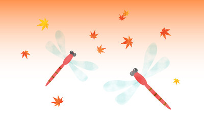 秋の夕焼け空を飛ぶ2匹の赤とんぼと紅葉した楓 © sihosiho