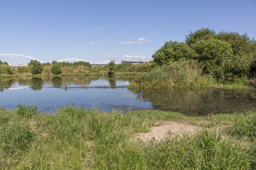 淀川水系の庭窪ワンド群(2020年9月)
