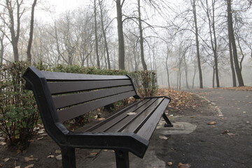 A lonely bench in the park in a foggy autumn day