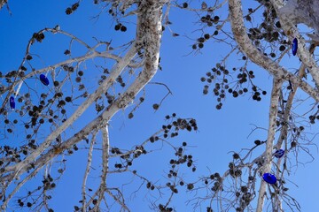 Decorative white tree branches with decorative cones and mascots against the blue clear sky on the beach in Bodrum, Turkey Christmas white tree branches, with space for your text