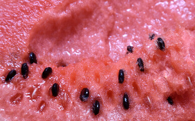 Watermelon pulp and seeds of watermelon close-up
