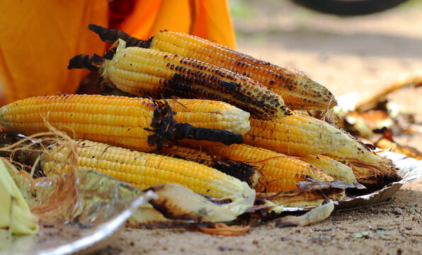 Bunch of Maize grilled