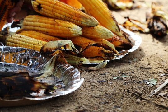 Bunch of Maize grilled