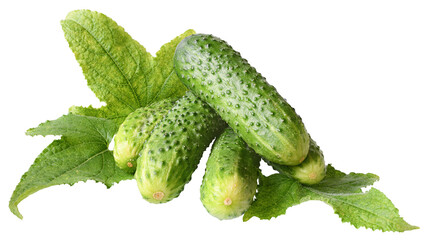 Fresh heap cucumber isolated