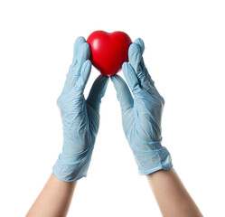 Hands of doctor with heart on white background. Cardiology concept