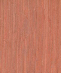 Naklejka premium walnut, orange Brown color wood wall material burr surface texture background Pattern Abstract wooden, top view