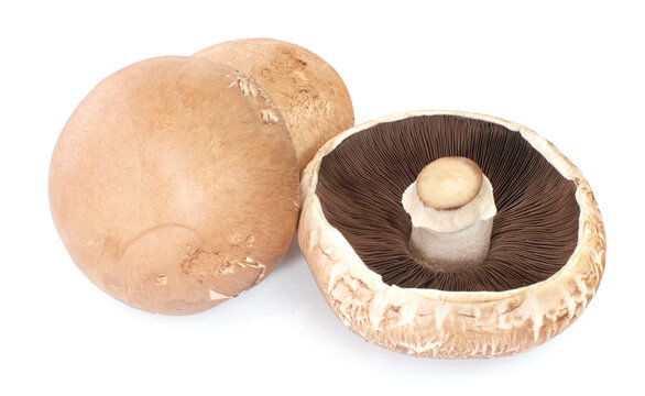 Three portobello mushrooms, isolated on white background.