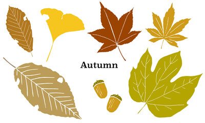 数種の落ち葉シルエットイラストセット Several kinds of fallen leaf silhouette illustration