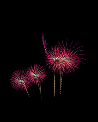 Colorful fireworks on black background.
