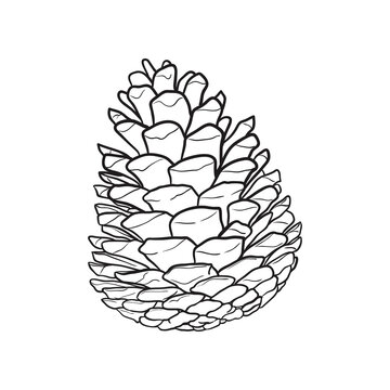 black and white pine cone drawing clip art preview