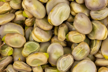 Boiled broad bean close up
