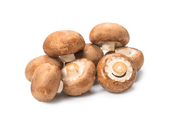 Tasty mushroom isolated on white background.