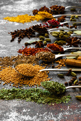 spices and herbs, set of spices on spoons linear