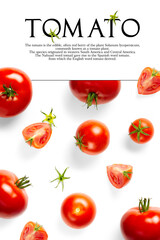 Creative layout made of tomato on the white background. Creative flat lay set of tomatoes with simple text on white background, copy space.