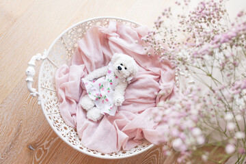 Little white teddy bear in a basket on  wooden background.  Cute toy bear in white open work basket. White and pink colors