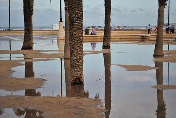 City embankment after the hurricane. People walk along the embankment.