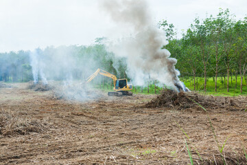 Fototapeta na wymiar backhoe working in a rubber plantation
