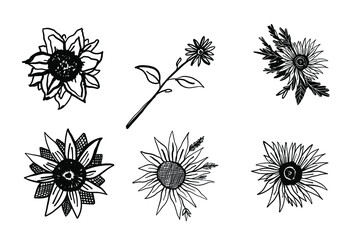 Hand drawn sunflower illustration for tattoo, pattern, poster