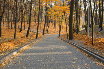 Autumn landscape in a city park. Gomel, Belarus