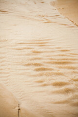 Sand texture. Sandy beach for background.