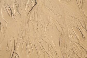 Sand texture. Sandy beach for background.