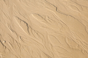 Sand texture. Sandy beach for background.