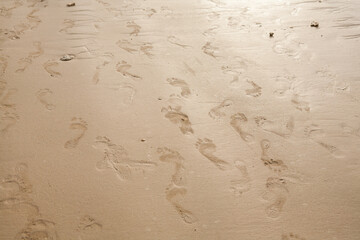 footprints on the beach sand.