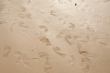 footprints on the beach sand.