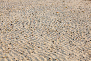 sand texture,beach sand.