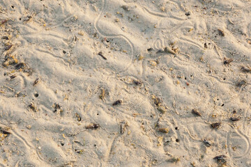 sand texture,beach sand.