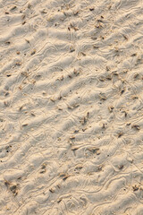 sand texture,beach sand.