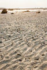 sand texture,beach sand.