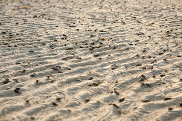 sand texture,beach sand.
