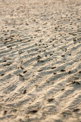 sand texture,beach sand.