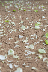 Floral arrangement at a wedding ceremony.