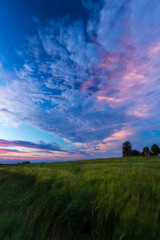 Warm summer sunset over fields and meadows