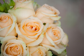 bouquet of  rose, close up of wedding bouquet
