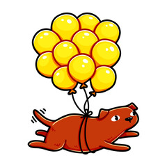 Cute fat chocolate labrador tied to helium balloons floating in the air and wagging its tail. Design for stickers, t-shirts, posters, birthday greeting cards. Isolated on white background.