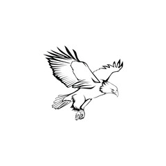 Obraz premium Eagle Logo Template Design Vector