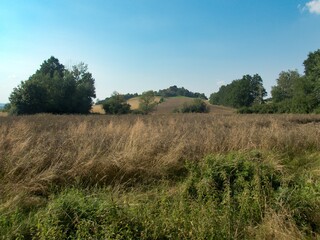 Obraz premium beautiful green central europian landscape