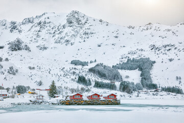Astonishing winter scenery with traditional Norwegian red wooden houses on the shore of Rolvsfjord on Vestvagoy island at Lofotens.