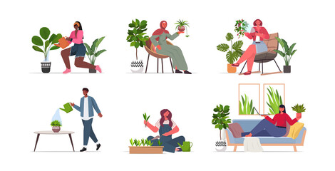 set mix race women taking care of houseplants mix race housewives collection full length vector illustration