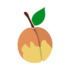 Icon Of Peach In Ui Colors