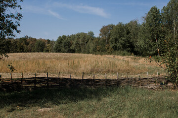 old wooden fence in a clearing in the village